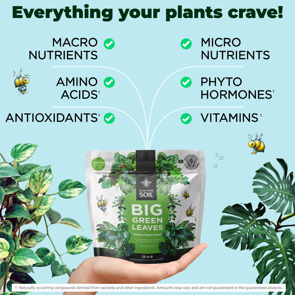 fertilizer for leafy plants Big Green Leaves