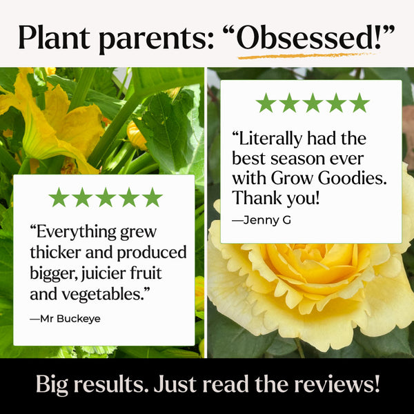 plant food reviews