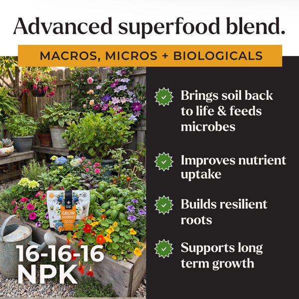 plant food