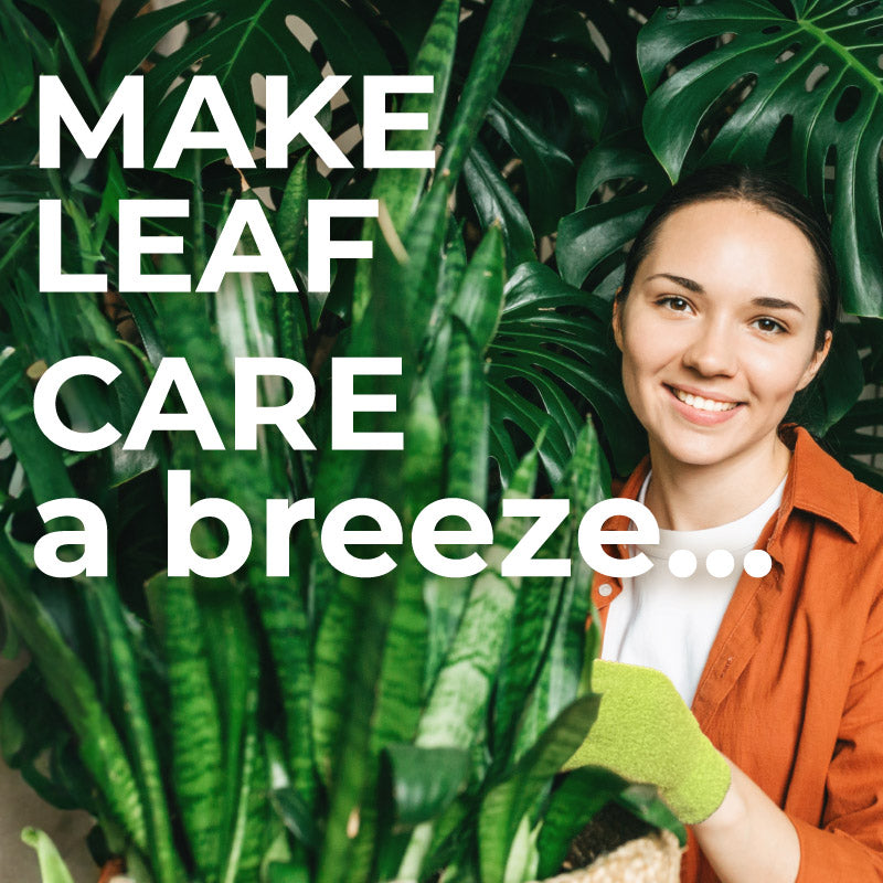 Microfiber Dusting Gloves for Plants : Leaf Lovers 2.0