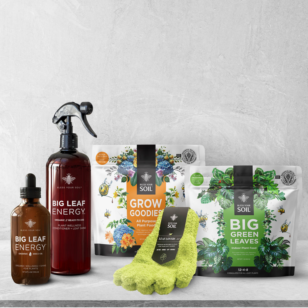 plant kit fertilier leaf care
