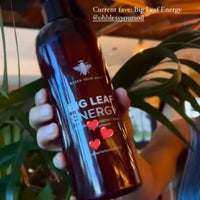 @goodsunplants uses big leaf energy on instagram