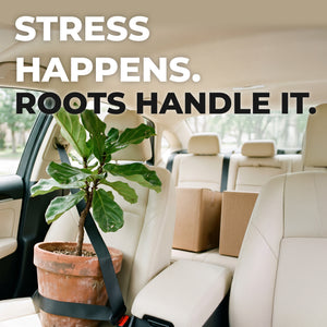 Good Good Roots™
