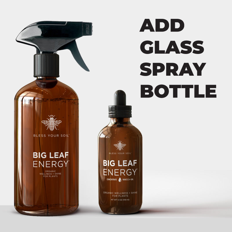 BLESS YOUR SOIL Big Leaf Energy Concentrate - Thumbnail 3
