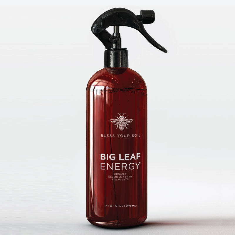 Big Leaf Energy : Plastic Bottle : Wellness Spray for Indoor Plants : Natural Leaf Shine & Protect with Organic Neem & Essential Oils (16oz)