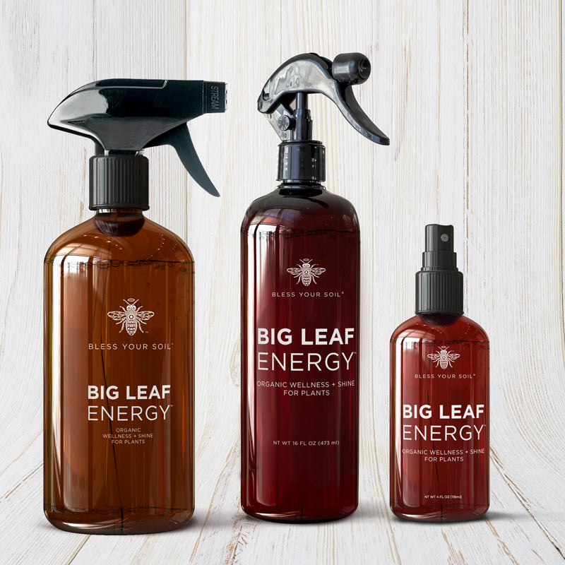 Big Leaf Energy Plant Wellness Sprays